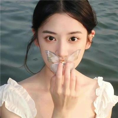 孤国春秋第二季